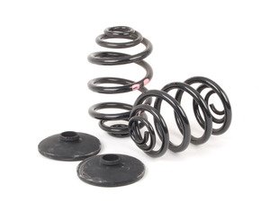ES#59033 - 33539058926 - E30 Rear Coil Spring Set - Replace your cracked springs - Genuine BMW - BMW