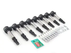 Ignition Service Kit