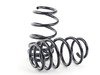 ES#2826015 - 55.10.99 - Sport Spring Kit - Lower and optimize your car's suspension - Neuspeed - Volkswagen