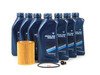 ES#263047 - M50OCI - Genuine BMW Oil Change Kit / Inspection I - Upgraded to included a ECS magnetic drain plug - featuring a Hengst oil filter - Assembled By ECS - BMW
