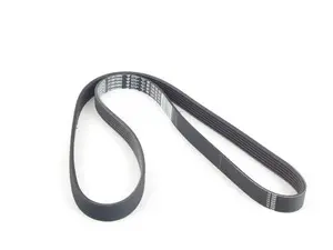 Supercharger Drive Belt