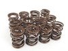 ES#2826592 - 10109604K - SportTuned Heavy Duty Valve Spring Kit - includes springs and required shims for installation - Autotech - Volkswagen