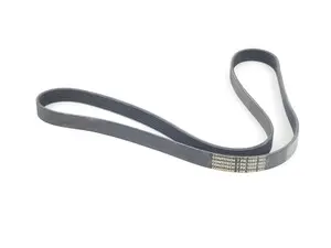 Accessory Belt - Water Pump/Alternator