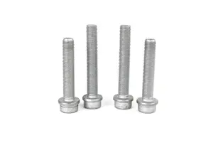 Rear Caliper Carrier Securing Kit