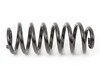 ES#58656 - 33531096302 - Rear Coil Spring - Replace your cracked springs - Genuine BMW - BMW