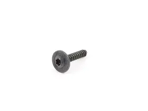 FILLISTER HEAD SCREW
