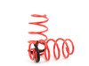 ES#2836871 - MRLSVWG10 - Performance Springs - Average lowering front: 1.75" rear: 1.75" - Megan Racing - Volkswagen