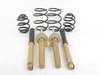 ES#1876720 - 21504006 - Koni FSD & Eibach Spring Kit - (NO LONGER AVAILABLE) - Average lowering of 1.4" front & 1.4" rear - great ride AND great handling in one package! - Koni - 