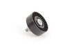 ES#2771605 - 06E903341A - Accessory Belt Idler Pulley - Also referred to as the 'relay roller' - Ina - Audi
