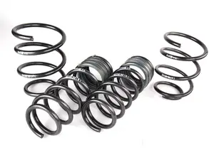 OE Sport Spring Set