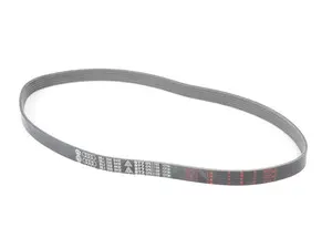 Accessory Belt