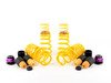 ES#2828654 - 25310090 - KW H.A.S. - Adjustable Coilover Spring System - Retains the use of your factory equipped dampening system while providing the ability to adjust ride height - KW Suspension - Audi