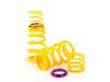 ES#2828654 - 25310090 - KW H.A.S. - Adjustable Coilover Spring System - Retains the use of your factory equipped dampening system while providing the ability to adjust ride height - KW Suspension - Audi