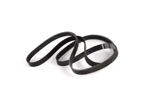 Accessory Belt