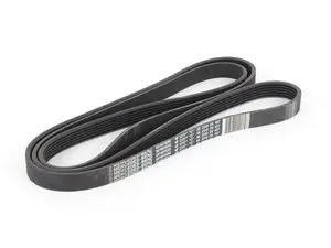 Multi-Rib Accessory Belt