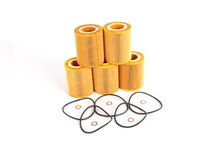 Oil Filter Kits, Pack Of 5 - Stock Up And SAVE!