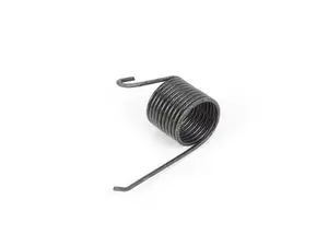 E10 Retainer Spring