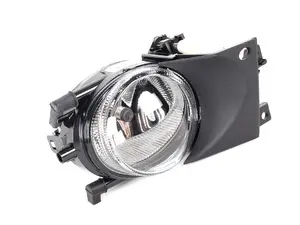 Fog Light Assembly - Right