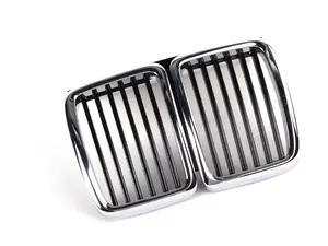 Kidney Grille Assembly