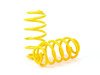 ES#2806992 - 66297 - ST Sport Spring Set - Average lowering front: 1.0" rear: 1.0" - Suspension Techniques - Volkswagen