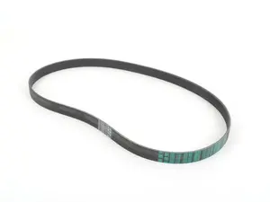 Accessory Drive Belt 