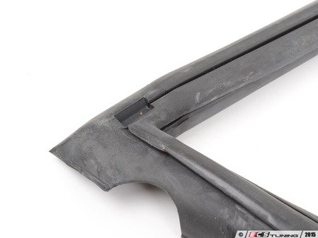 ES#92699 - 51311828234 - WINDOW SEAL - Genuine BMW - BMW