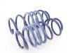 ES#2202442 - HR54759 - Sport Springs Kit - Improves handling without sacrificing ride quality. Average lowering front: 0.75" rear: 0.75" - H&R - Volkswagen
