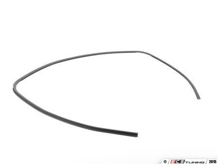 ES#92915 - 51317058224 - Front Windshield gasket - Commonly rots and falls apart after years in the elements - Genuine BMW - BMW