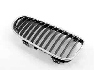 GRILLE W CHROME FRAM