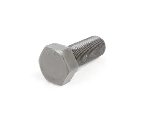 Harmonic Balancer Securing Bolt