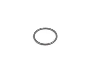 Fuel Injector O-Ring (22 X 2 mm)