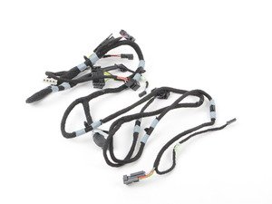 ES#160956 - 61117002532 - Driver's Seat Wiring Harness - For vehicles with memory seats - Genuine BMW - BMW