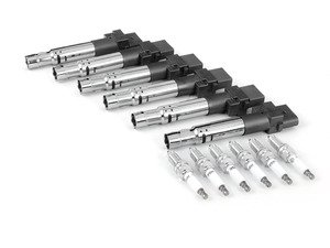 ES#2770116 - 95560210105KT - Ignition Service Kit - Includes spark plugs and ignition coils - Genuine Porsche - Porsche