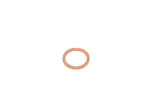 Seal Ring - Priced Each