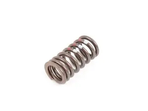Valve Spring - Priced Each