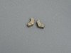 ES#1466480 - 96473190100 - Aero Mirror Housing Kit - Does not include glass - Genuine Porsche - 