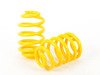 ES#2549943 - 65281 - Lowering Spring Set - Provides a more aggressive stance for improved looks and handling. Average lowering of 1.6"F and 1.2"R. - Suspension Techniques - BMW
