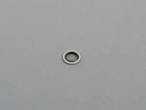 Gasket Ring  376.620