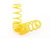 ES#2806984 - 66204 - ST Sport Spring Set - (NO LONGER AVAILABLE) - Average lowering front: 1.2" rear: 1.2" - Suspension Techniques - 