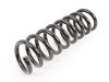 ES#1752120 - 2103213004 - Front Coil Spring - Priced Each - One (1) Blue And One (1) Green Paint Marking - Fits Left Or Right Side - Genuine Mercedes Benz - Mercedes Benz