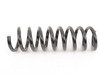 ES#1752120 - 2103213004 - Front Coil Spring - Priced Each - One (1) Blue And One (1) Green Paint Marking - Fits Left Or Right Side - Genuine Mercedes Benz - Mercedes Benz