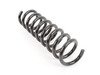 ES#1752120 - 2103213004 - Front Coil Spring - Priced Each - One (1) Blue And One (1) Green Paint Marking - Fits Left Or Right Side - Genuine Mercedes Benz - Mercedes Benz