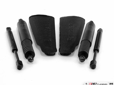 ES#2593719 - 95551255006KT1 - ECS Rear Hatch Strut Kit - (NO LONGER AVAILABLE) - Complete rear glass and hatch strut kit - Assembled By ECS - 