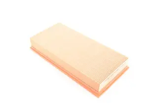 Engine Air Filter