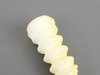 ES#2802532 - 31336778544 - Foam Bump Stop for Strut - Rein - BMW