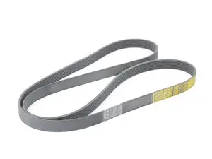 Serpentine Belt
