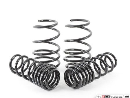 ES#2826017 - 55.70.08 - Race Springs Set - Upgrade looks and handling with race springs - Neuspeed - Audi Volkswagen