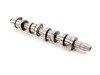 ES#2834691 - 038109101AF - Camshaft - OE replacement part - AMC - Volkswagen