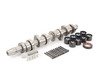 ES#2834687 - 038109101RKT - Camshaft Kit - Includes camshaft, lifters, and camshaft seal - AMC - Volkswagen