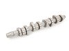 ES#2834687 - 038109101RKT - Camshaft Kit - Includes camshaft, lifters, and camshaft seal - AMC - Volkswagen